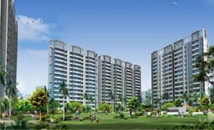 Real Estate Consultant in Pune